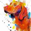 Colorful Splash Vizsla Dog diamond painting