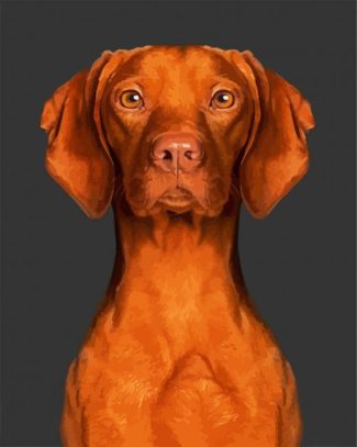 Cute Brown Vizsla Dog diamond painting