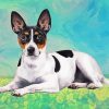 Cute Rat Terrier diamond painting