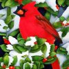Cute Red Cardinal diamond painting