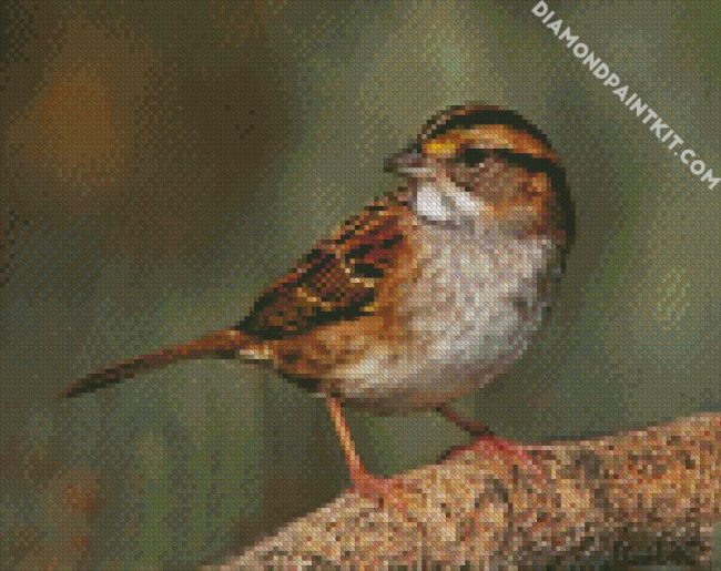 Cute Sparrow diamond painting