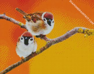 Cute Sparrows diamond painting