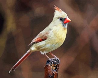 Female Cardinal Bird diamond painting