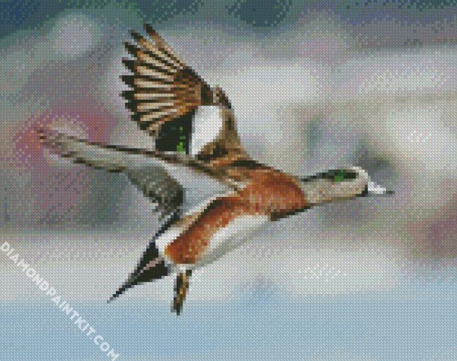 Flying Wigeon diamond painting
