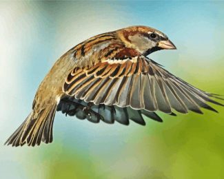 Flying Sparrow diamond painting