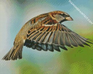 Flying Sparrow diamond painting