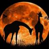 Giraffes In The Moonlight diamond painting