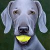 Grey Weimaraner Dog diamond painting