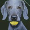 Grey Weimaraner Dog diamond painting