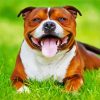 Happy Brown Staffordshire Bull Terrier diamond painting