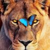 Lion And Butterfly diamond painting