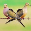 Mourning Doves diamond painting
