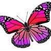 Pink And Purple Butterfly diamond painting