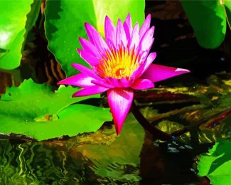 Pink Water Lilly diamond painting