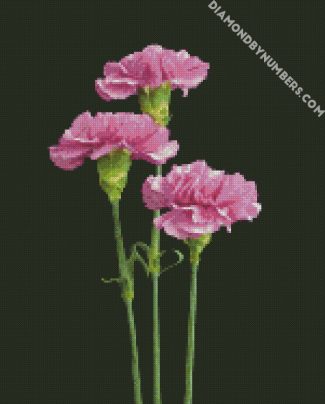 Purple Carnations diamond painting