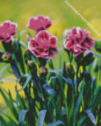 Purple Carnations Flowers diamond painting
