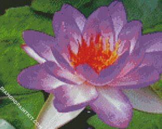Purple Waterliliy diamond painting