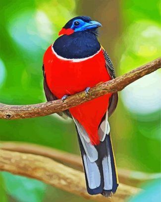 Red Trogon Bird Animal diamond painting