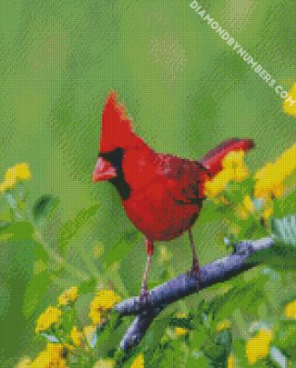 Red Cardinal Bird diamond painting
