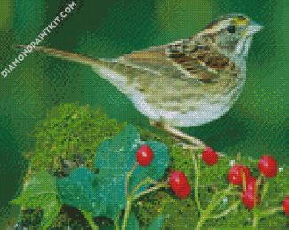 Sparrow On Branch diamond painting