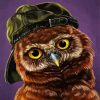 Stylish Owl diamond painting