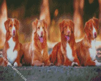 Tollers Dogs diamond painting