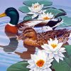 Waterfowl And Lotus diamond painting