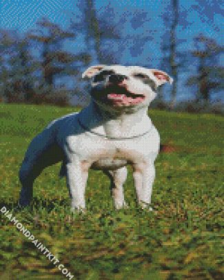 White Staffordshire Bull Terrier diamond painting