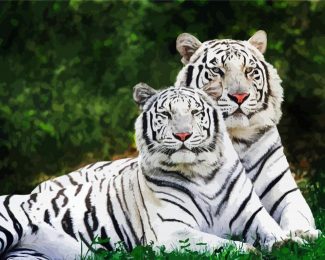White Tigers diamond painting