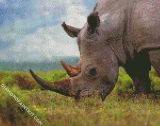 Rhinoceros diamond painting