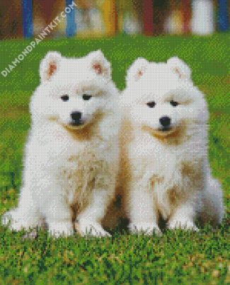Samoyed Puppies diamond painting