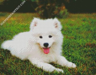 Samoyed Puppy diamond painting