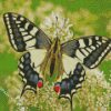 Swallowtail diamond painting