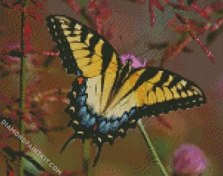 Swallowtail Butterfly diamond painting