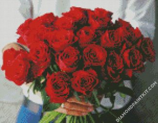 Aesthetic Red Roses diamond painting