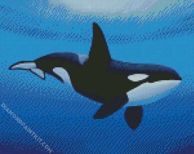 Aesthetic Killer Whale diamond painting