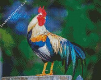 Aesthetic Rooster diamond painting