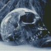 Aesthetic Skull Smoke diamond painting