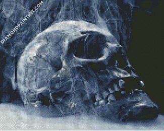 Aesthetic Skull Smoke diamond painting
