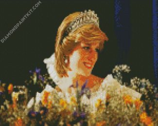 Beautiful Princess Diana diamond painting