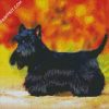 Black Scottish Terrier Puppy diamond painting