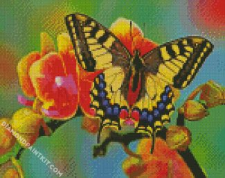 Flower Swallowtail diamond painting