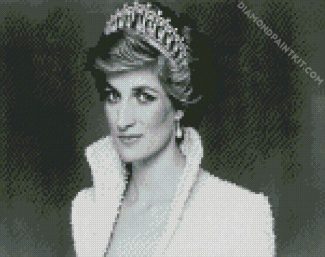 Princess Diana diamond painting