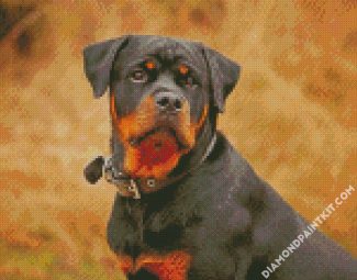 Rottweiler Dog Animal diamond painting