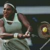 The Tennis Player Serena Williams diamond painting