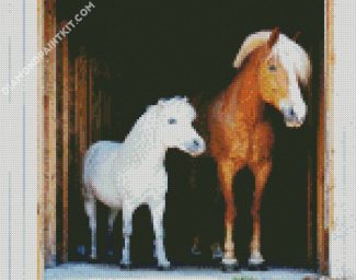 Brown And White Ponies diamond painting