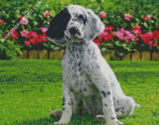 English Setter Dog diamond painting