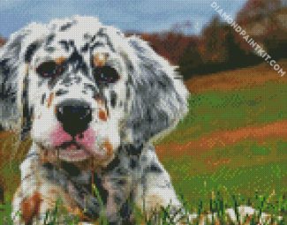 English Setter Puppy diamond painting