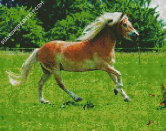 Running Pony In Field diamond painting