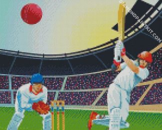 The Cricket Match diamond painting
